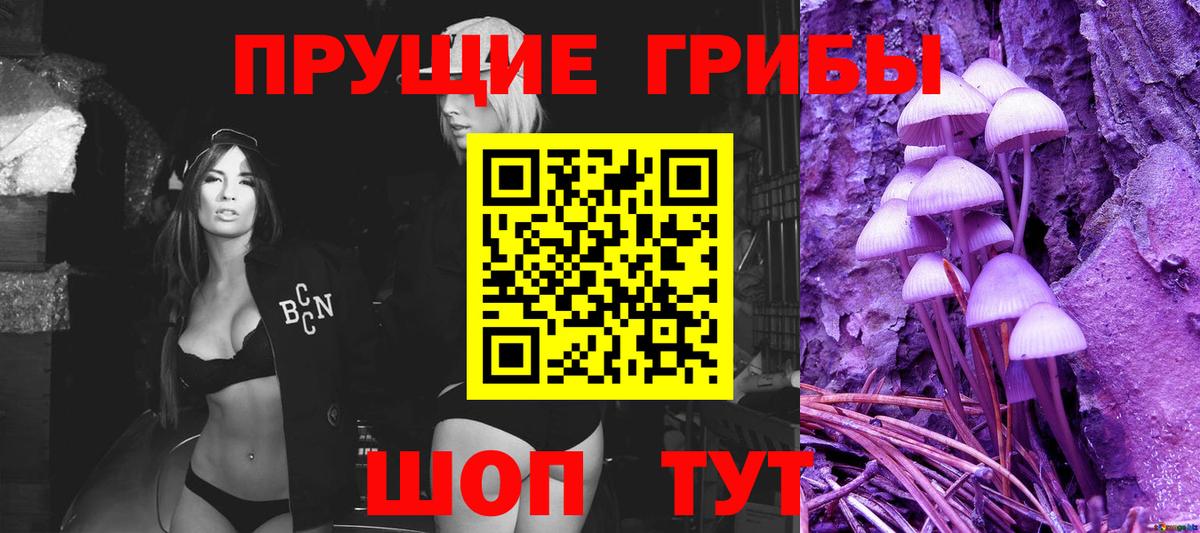 Псилоцибиновые грибы мицелий Лыткарино